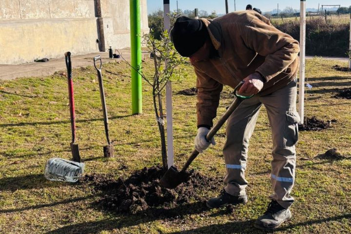 Imagen de noticia Supervisaron el estado de los 80 árboles nativos plantados en el Cementerio Norte