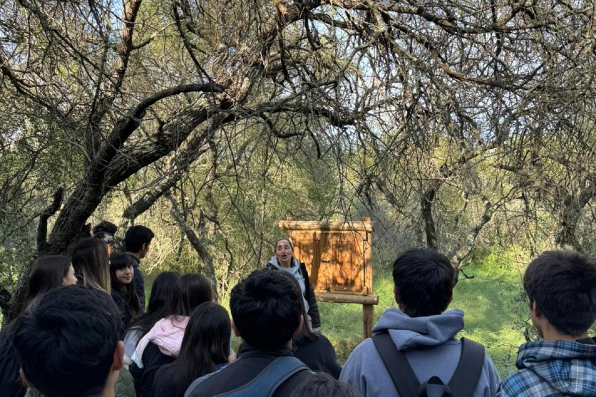 Imagen de noticia Más de 800 estudiantes participaron en las jornadas de educación ambiental durante agosto