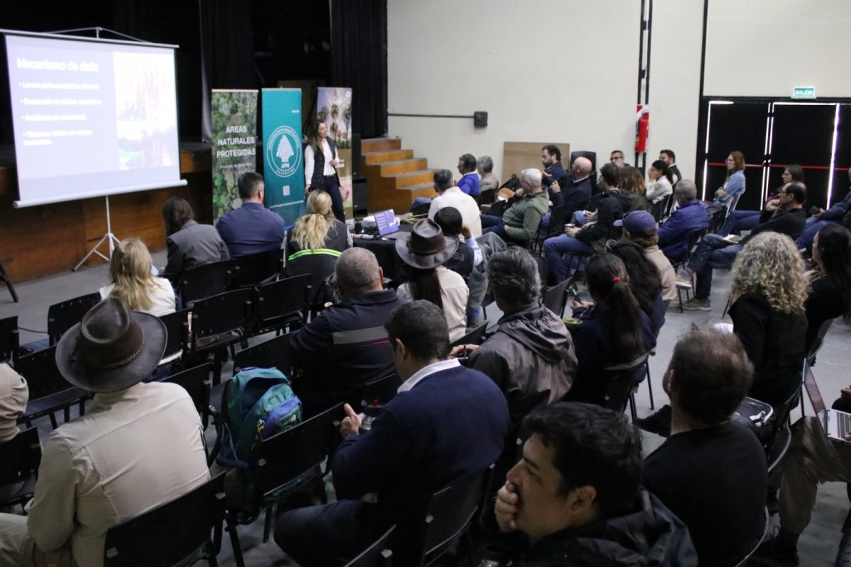 Imagen de noticia Gualeguaychú reunió a organismos y prestadores para coordinar acciones ante el picudo rojo de las palmeras