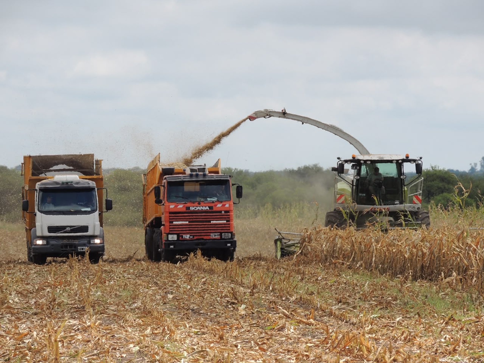 Imagen de noticia La provincia puso en vigencia el nuevo régimen ambiental para la actividad productiva de Entre Ríos