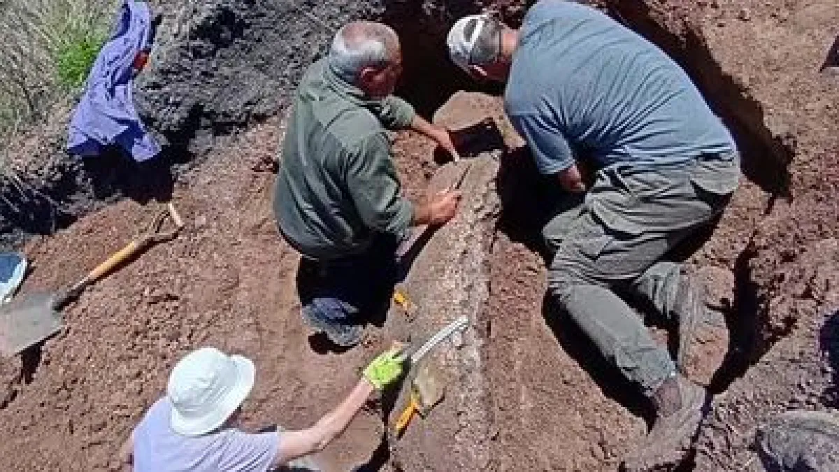 Imagen de noticia Gualeguaychú será parte de una investigación arqueológica sobre el poblamiento temprano del Nordeste