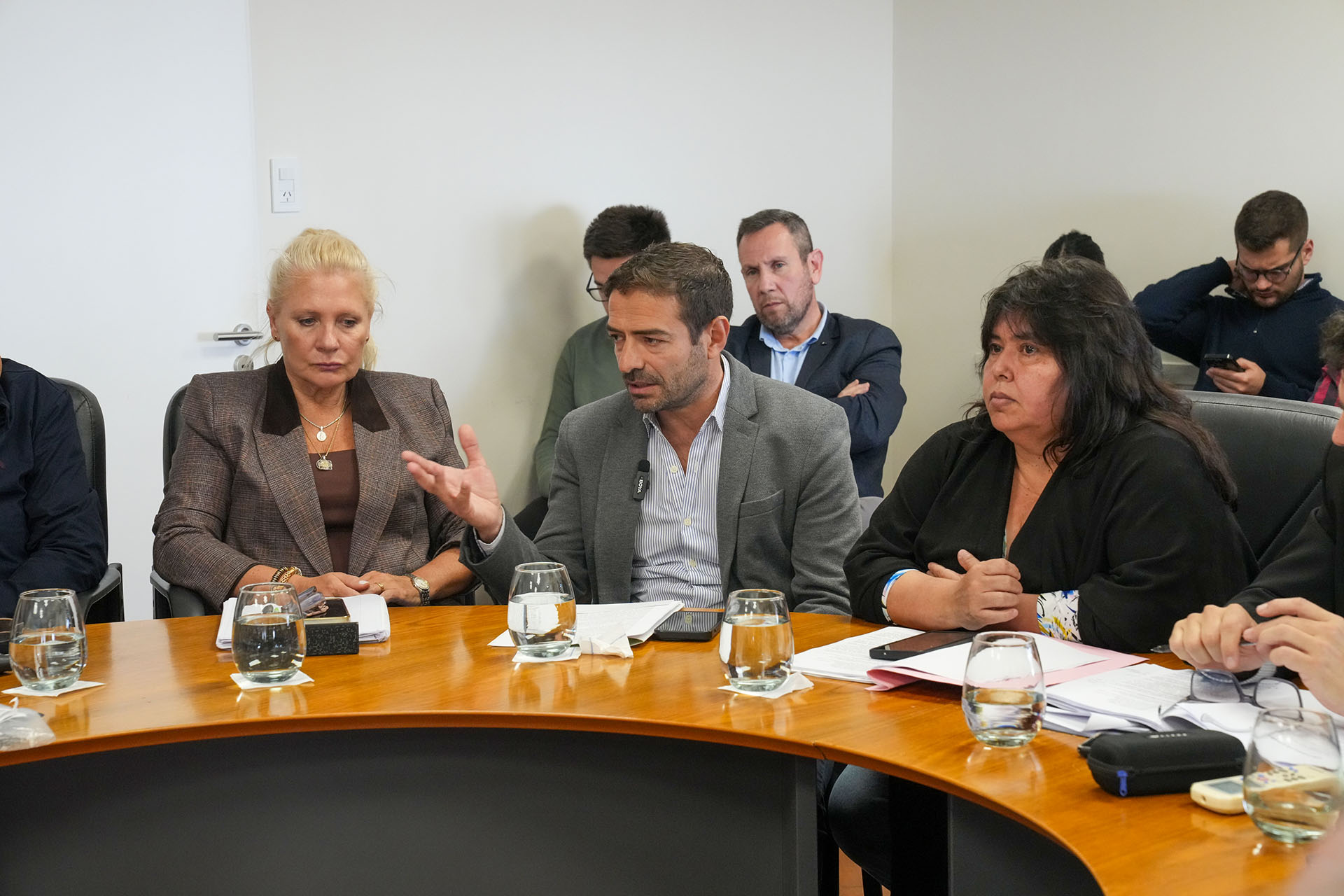 Imagen de noticia Blanzaco expuso ante el Senado el trabajo que desarrolla la provincia en materia de salud mental