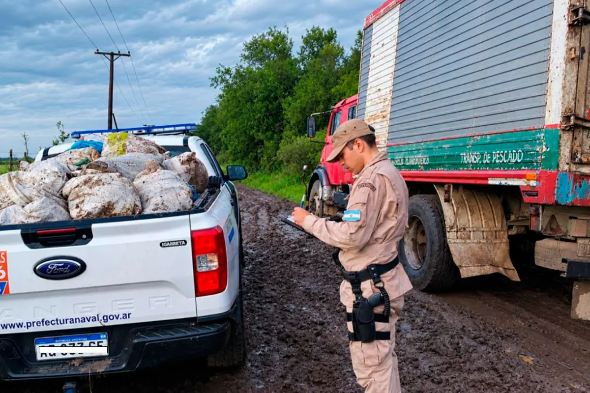 Imagen de noticia Incautaron 710 kilos de pescado transportados sin documentación y con la cámara frigorífica apagada