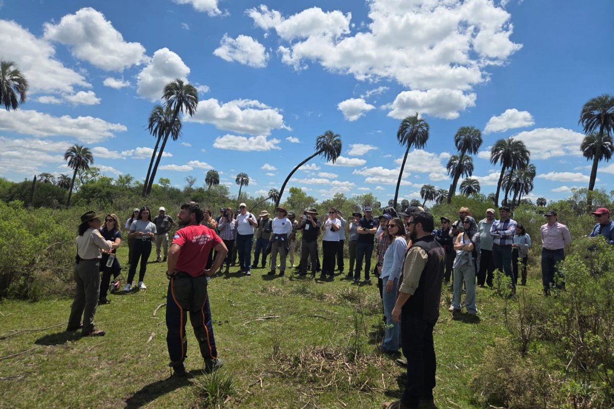 Imagen de noticia Gualeguaychú y El Palmar fueron sede de jornadas internacionales sobre prevención y control del picudo rojo