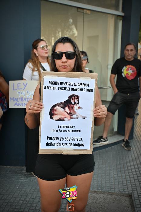 Imagen de noticia Vecinos y proteccionistas marcharon este lunes en reclamo de justicia por el crimen del perro en Costanera